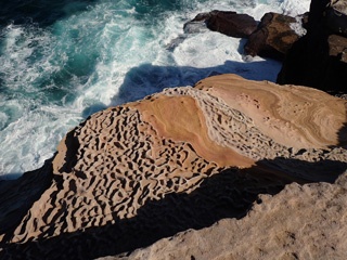 P1032209a.jpg